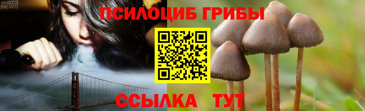 Сухой Лог  Галлюциногенные грибы Psilocybine cubensis  Вход с VPN 